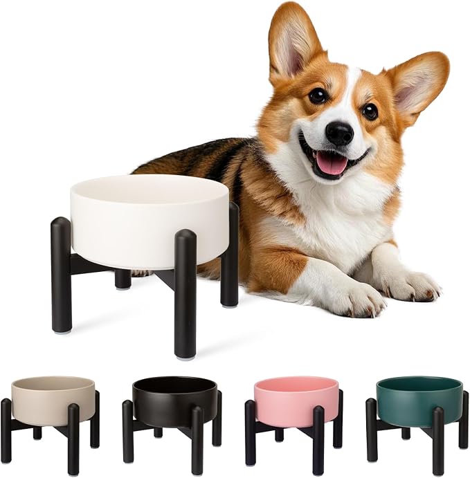 Raised Ceramic Dog Bowl Set with Stand, 2 Cups Elevated Dog Food Stand | 6.1'' Single Dog Food or Water Bowl Set, Non-Slip Dog Feeding Dishes for Small to Medium Breeds, 28.75 OZ, White by PTOBER
