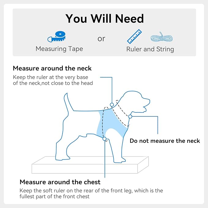 Joytale Step-in Dog Harness, Soft Breathable Mesh, Sky Blue XXXS | Adjustable Fit for Small Dogs, Easy Step-in with Secure Fastener, Even Chest Pressure, Reflective For Night Safety, Washable - Image 7