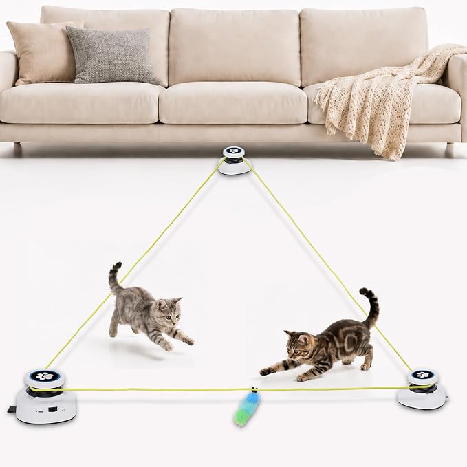 Automatic Cat Toy for Indoor Cats, Interactive Cat Chase Toy with Moving Feather Lure, DIY Floor Route Kit, Rechargeable Self-Play Cat Exercise Toy by Clawtastic