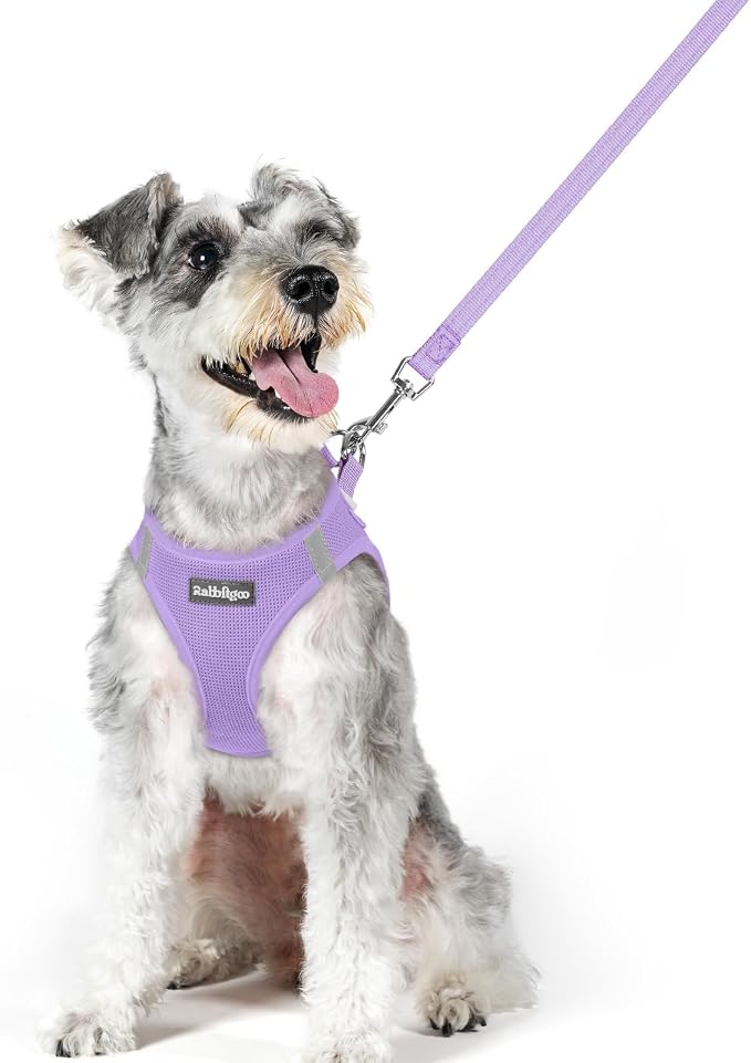 rabbitgoo Dog Harness Medium Sized and Leash Set, Step-in Puppy Pet Vest | Light, Soft, Breathable Air Mesh, Easy on and Remove with Hook & Loop, Secure Reflective for Walking, Light Purple XL by rabbitgoo