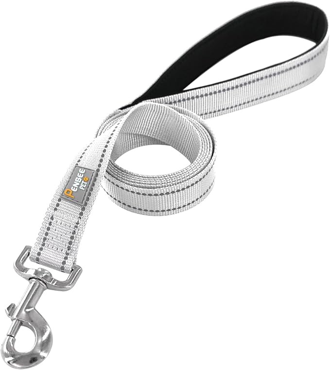 6 FT Basic Dog Leash for Large Dogs,Silver | Padded Handle,Metal D-Ring,Heavy Duty Nylon Webbing, for Walking & Training - Image 2