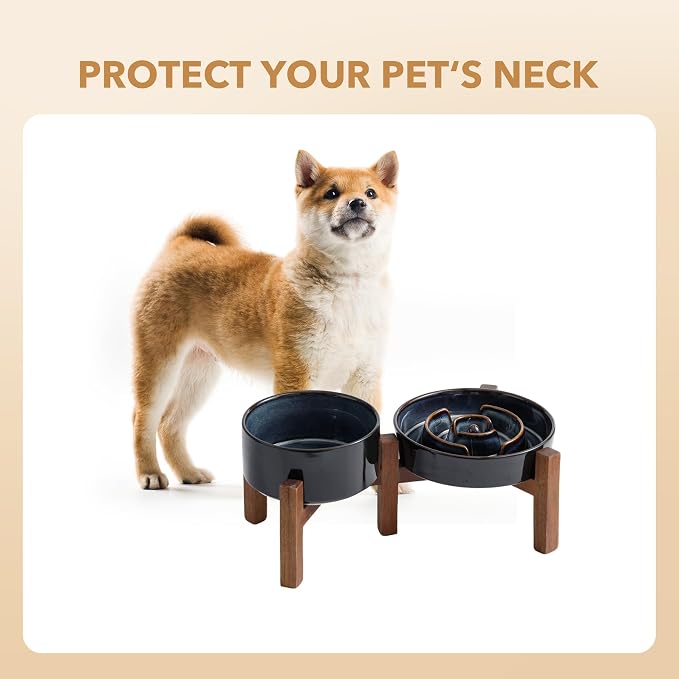 Havniva Raised Slow Feeder Dog Bowls, Elevated Dog Bowls Slow Feeder Set | 1.2 Cups Ceramic Dog Bowl Elevated with Acacia Wood Stand, Raised Dog Food Bowl, Puzzle Slow Feeder for Small Dogs, Non-Slip - Image 9