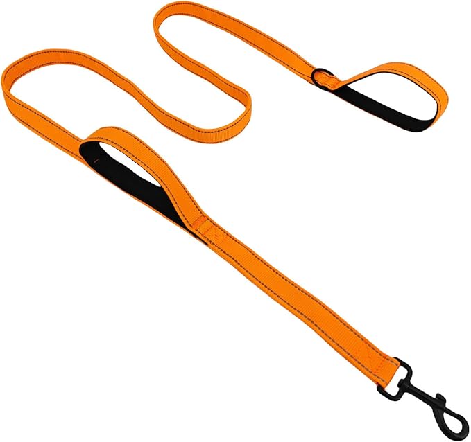 Solmoony 6FT Orange Strong Dog Leash with 2 Padded Handles, Traffic Handle Extra Control, Double-Sided Reflective Walking Lead for Small Medium and Large Dog (Orange, 6FT) by SOLMOONY