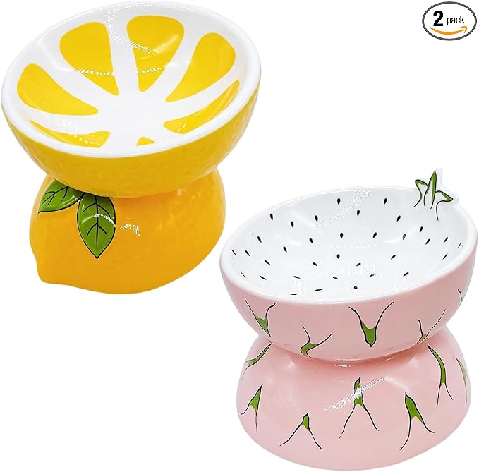2PCS Ceramic Elevated Cat Bowls Raised Cat Food and Water Bowl Dishes Set | 5.2in Tilted Anti Vomiting Slow Feeder Cat Dishes, Whisker Friendly for Indoor kitten, Lemons & Pitaya Design by Hamiledyi