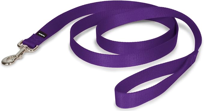 PetSafe Nylon Dog Leash - Strong, Durable, Traditional Style Leash with Easy to Use Bolt Snap - 1 in. x 6 ft., Deep Purple | Durable Nylon Leash with Easy on/off Bolt Snap Hook, Pairs Perfectly with Easy Walk Harness and Gentle Leader Headcollar by PetSafe