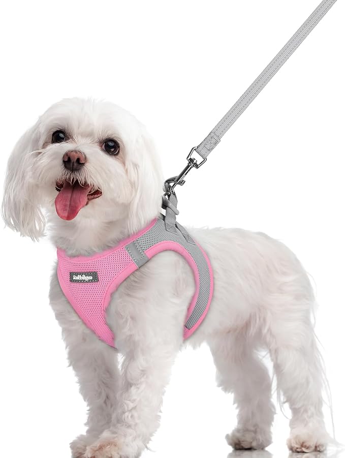 rabbitgoo Dog Harness Small Sized and Leash Set, Step-in Puppy Pet Vest | Light, Soft, Breathable Air Mesh, Easy on and Remove with Hook & Loop, Secure Reflective for Walking, Light Pink & Gray M by rabbitgoo