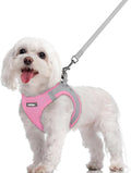 rabbitgoo Dog Harness Small Sized and Leash Set, Step-in Puppy Pet Vest | Light, Soft, Breathable Air Mesh, Easy on and Remove with Hook & Loop, Secure Reflective for Walking, Light Pink & Gray M by rabbitgoo