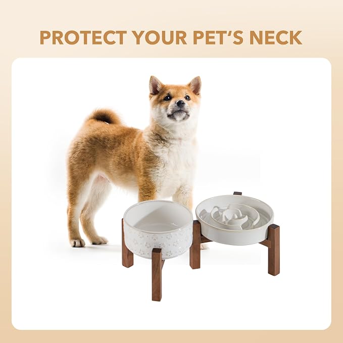 Havniva Raised Slow Feeder Dog Bowls, Elevated Dog Bowls Slow Feeder Set | 1.2 Cups Ceramic Dog Bowl Elevated with Acacia Wood Stand, Raised Dog Food Bowl, Puzzle Slow Feeder for Small Dogs, Non-Slip - Image 9