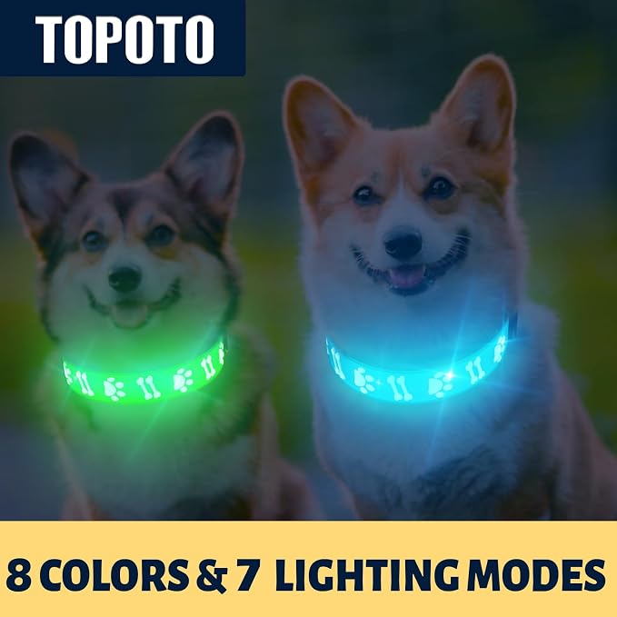 Light Up Dog Collars Adjustable & Rechargeable LED Dog Collars for Night Safety Walk Glowing Collar for Dog, Red - Image 3