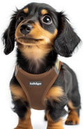 rabbitgoo Step-in Small Dog Harness, Puppy Vest for Small Sized Pet | Easy Put on and off, Lightweight, Soft, Breathable Quick-Dry Air Mesh for Comfortable Secure Walking, Brown & Beige XXS by rabbitgoo