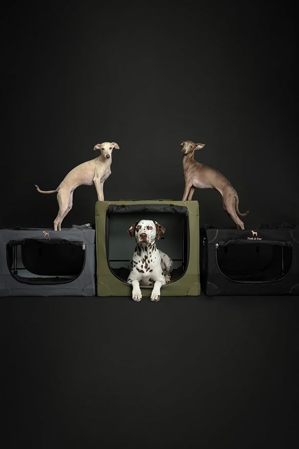 Noah & Paw Collapsible Dog Crate 30 Inches, Large Dog Crate for Large Medium Breeds, Travel Kennel for Car, Including Pet Mat for Pet Cage, 2 Storage Pockets, Handbag, 10mm Locking Zipper 30*21*21 - Image 7