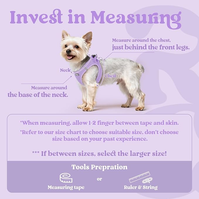 rabbitgoo Step-in Small Dog Harness, Puppy Vest for Small Sized Pet | Easy Put on and off, Lightweight, Soft, Breathable Quick-Dry Air Mesh for Comfortable Secure Walking, Light Purple XS - Image 2