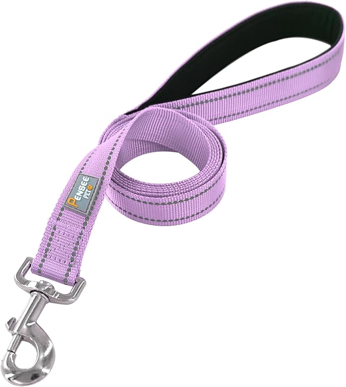 6 FT Basic Dog Leash for Large Dogs,Lavender | Padded Handle,Metal D-Ring,Heavy Duty Nylon Webbing, for Walking & Training - Image 3