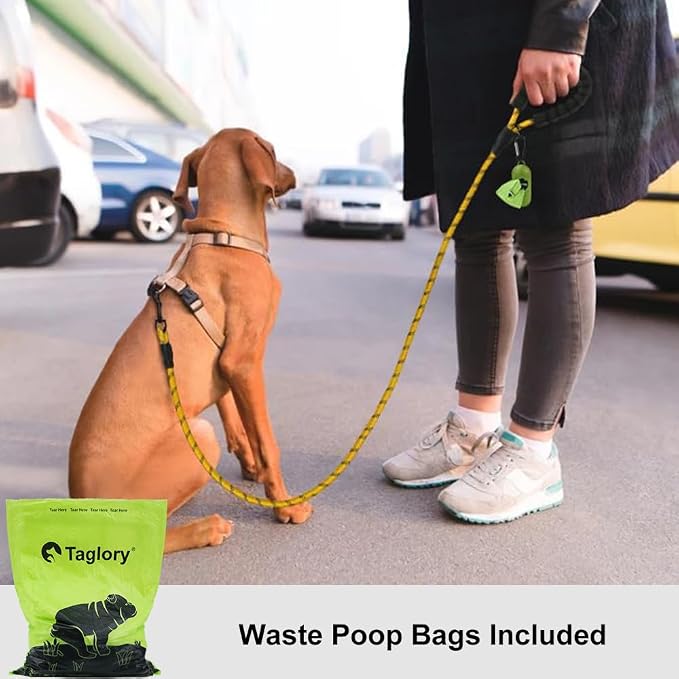 Taglory Rope Dog Leash for Small Medium Dogs, 4 FT Padded Handle, Yellow | Made of Climbing Rope, Reflective for Night Walks and Training, Comfortable Grip, Anti-tangle Swivel Clip, 3/8 inch - Image 2
