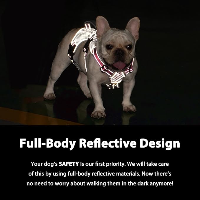 Escape Proof Dog Harness, Dachshund Harness, Reflective Dog Harness with Handle, Durable,Adjustable Vest for Small Medium Large Dogs Walking, Training, and Running Gear (Red,S) - Image 3