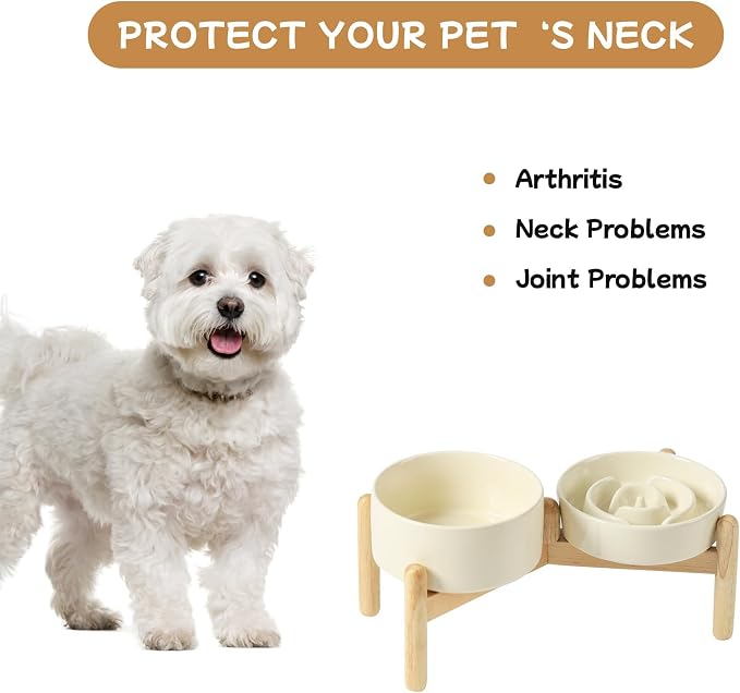 Havniva Elevated Slow Feeder Dog Bowls, Ceramic Dog Bowl Slow Feeder Set | 0.9 Cups Raised Slow Feeder Dog Bowl for Small Breed, 6.1” Dog Water Bowl with Wooden Stand, Puzzle Dog Food Bowl, Non-slip - Image 8