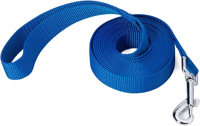 Strong Durable Nylon Dog Training Leash, 1 Inch Wide Traction Rope, 6 ft 10ft 15ft Long, for Small and Medium Dog (Blue, 10 Feet) by Siumouhoi