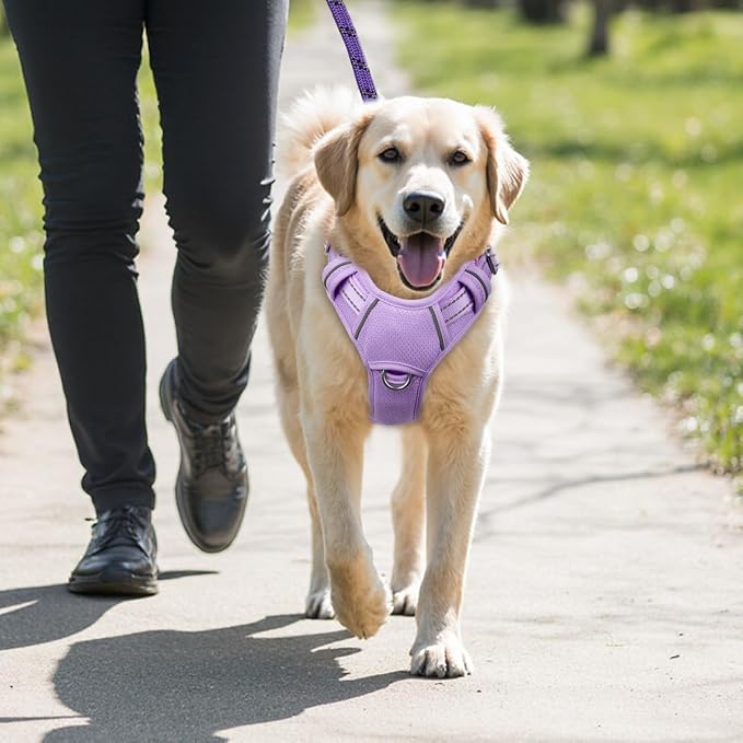 BARKBAY No Pull Dog Harness Large Reflective Dog Harness with Front Clip and Easy Control Handle for Walking Training Running with ID tag Pocket(Violet Purple,L) - Image 9