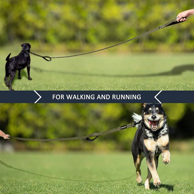 Plutus Pet Double Handle Dog Leash, 5 FT Long, for Medium Large Dogs | Reflective Nylon, Soft Padded 2 Handles, Heavy Duty for Training, Dual Handle Lead, 5 FT x 1”, Ranger Green - Image 7