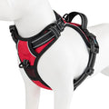 No Pull Dog Harness Medium Reflective Front Clip Puppy Vest | with Handle,Adjustable 2 Metal Leash Attachment Hooks(M, Red) by PHOEPET