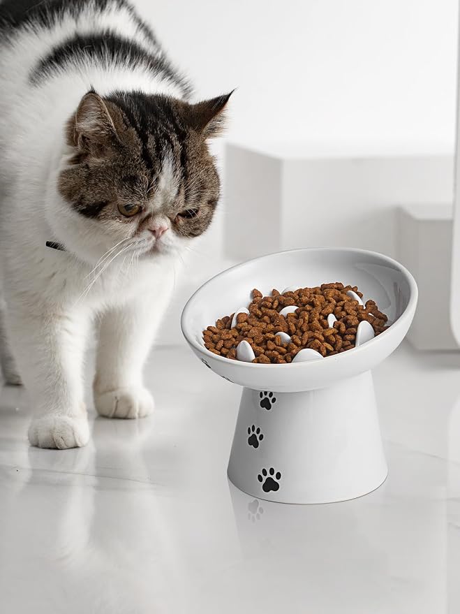 Y YHY Slow Feeder Cat Bowl, Ceramic Cat Slow Feeder Bowl, 6 Inches, Elevated, Anti Vomiting for Dry and Wet Food, White - Image 7