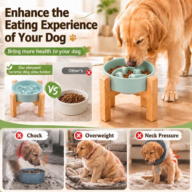 Elevated Ceramic Slow Feeder Dog Bowls Anti-Choking Slow Feeding for Medium& Large Anti-Slip Non-Lead & Toxic Durable Easy to Clean Maze Slow Feeder Bowl（8.66in Mint Blue Stars Pattern） - Image 4
