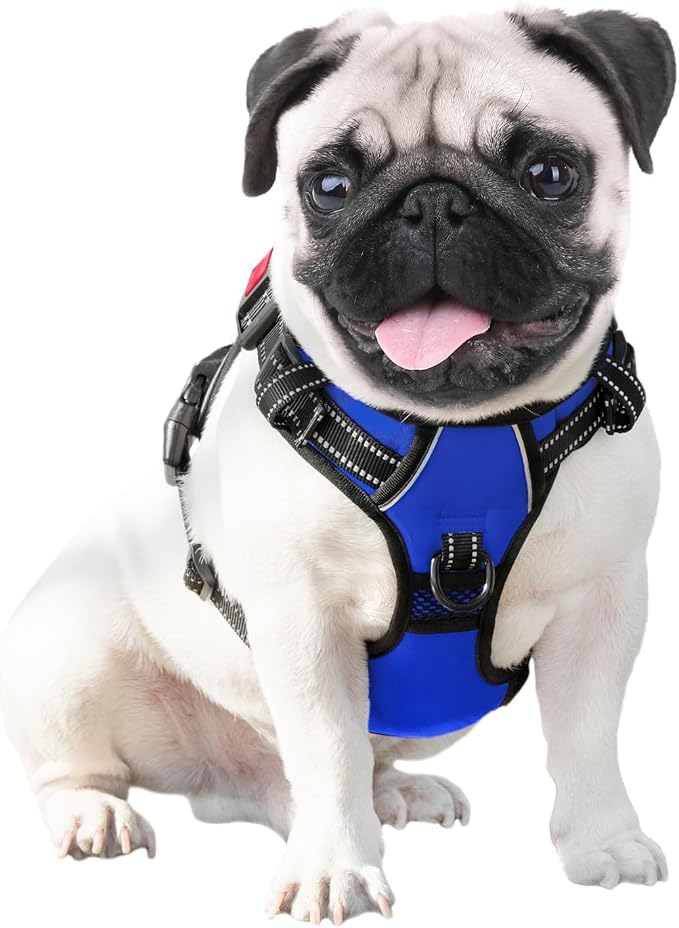 No Pull Dog Harness Medium Reflective Front Clip Vest with Handle | Adjustable 2 Metal Rings 3 Buckles,[Easy to Put on & Take Off](L, Royal Blue) - Image 6