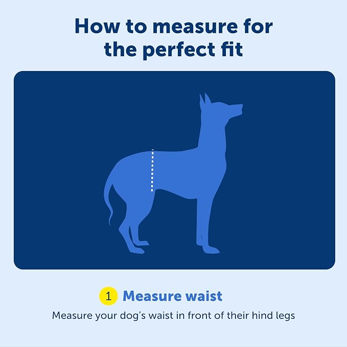 PetSafe Solvit Pet Lifting Aid for Rear Portion, Large, Black (62365) | Dog Lifting Aid with Handle & Shoulder Strap, Adjustable, Padded, Machine Washable, Helps Reduce Strain & Pain - Image 5