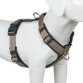 Plutus Pet No Pull Dog Harness, Adjustable Nylon Harness with Soft Padding | Reflective with Front Clip, Heavy Duty for Training and Walking, for Small Medium Large Dogs, Beige, M by PLUTUSPET