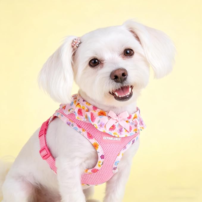 EXPAWLORER Step-in Dog Harness Small Sized and Leash Set | Cute Small Dog Harness No Pull Girl, Breathable Soft Mesh Padded, Adjustable Light Puppy Vest for Dogs Cats, Floral XS - Image 7