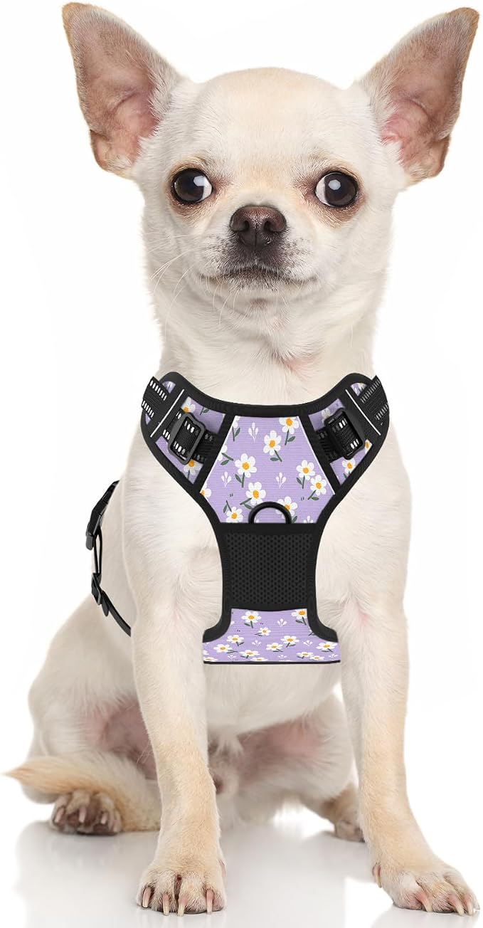 Rnivvi No Pull Dog Harness, Cute Flower Reflective X-Small Sized Puppy Harness, Adjustable Soft Padded Vest for Small Dogs, Cats, Heavy Duty Pet Vest with Easy Control Handle for Walking, Purple White - Image 2
