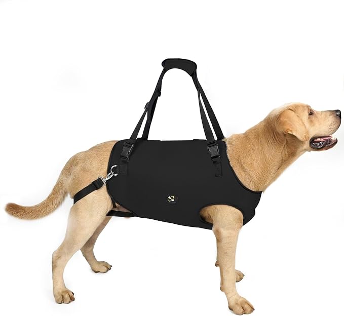 Coodeo Dog Lift Harness, Pet Support & Rehabilitation Sling Lift Adjustable Padded Breathable Straps for Old, Disabled, Joint Injuries, Arthritis, Loss of Stability Dogs Walk (Black, XS) by Coodeo
