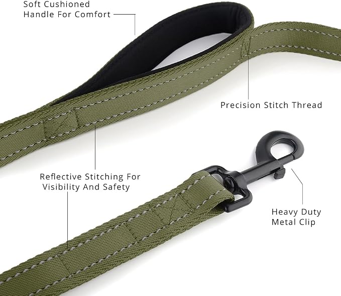 Plutus Pet Double Handle Dog Leash, 6 FT Long, for Medium Large Dogs | Reflective Nylon, Soft Padded 2 Handles, Heavy Duty for Training, Dual Handle Lead, 6 FT x 1”, Ranger Green - Image 2