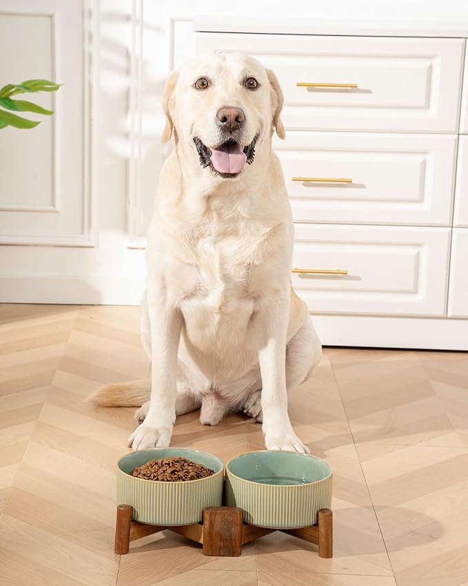 Getstar Ceramic Dog Bowls Set with Acacia Wood Stand, 3.5 Cups Pet Bowls Set of 2 for Medium Dogs, Cute Dog Food Bowl, Cat Bowls - Image 6