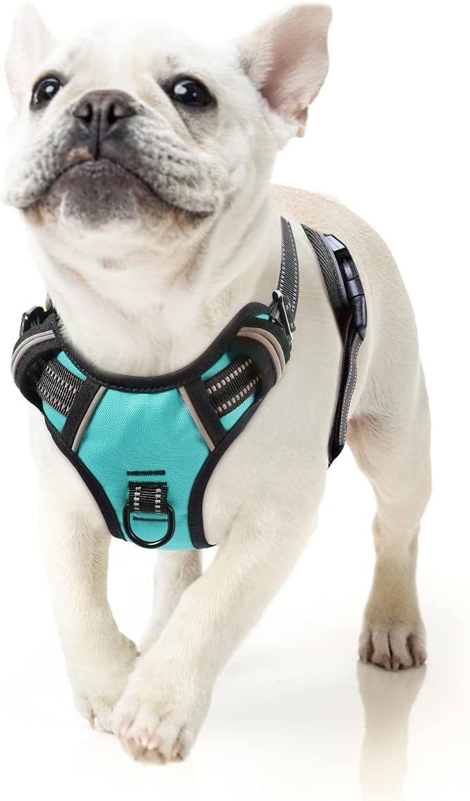 HEELE Dog Harness Dog Harness Small Dog No Pull Harness wiht Soft Handle Reflective Harness Adjustable, Turquoise, S | No Choke with Control Handle, Soft Breathable Padded Pet Vest, Adjustable, Reflective Front Clip Vest for Night Walking by HEELE