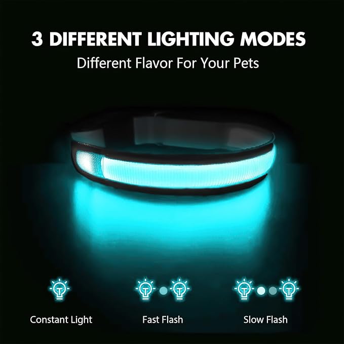 MASBRILL Light Up Dog Collars - LED Dog Collar Rechargeable Lighted Dog Collars for Night Resistant-Water Glow Dog Collar - Image 3