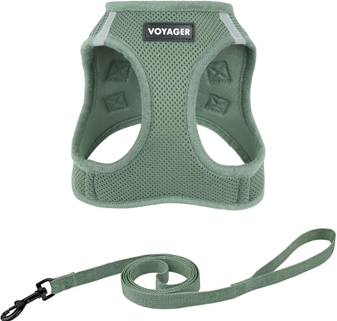 Voyager Step-in Air Cat Harness & Leash Set - Moss Green, XS | 13.5 - 15" in Chest, Reflective Bands, All Weather Breathable Air Mesh, Cats Compatible, Fast Drying by BestPetSuppliesLLC