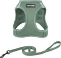 Voyager Step-in Air Cat Harness & Leash Set - Moss Green, XS | 13.5 - 15" in Chest, Reflective Bands, All Weather Breathable Air Mesh, Cats Compatible, Fast Drying by BestPetSuppliesLLC