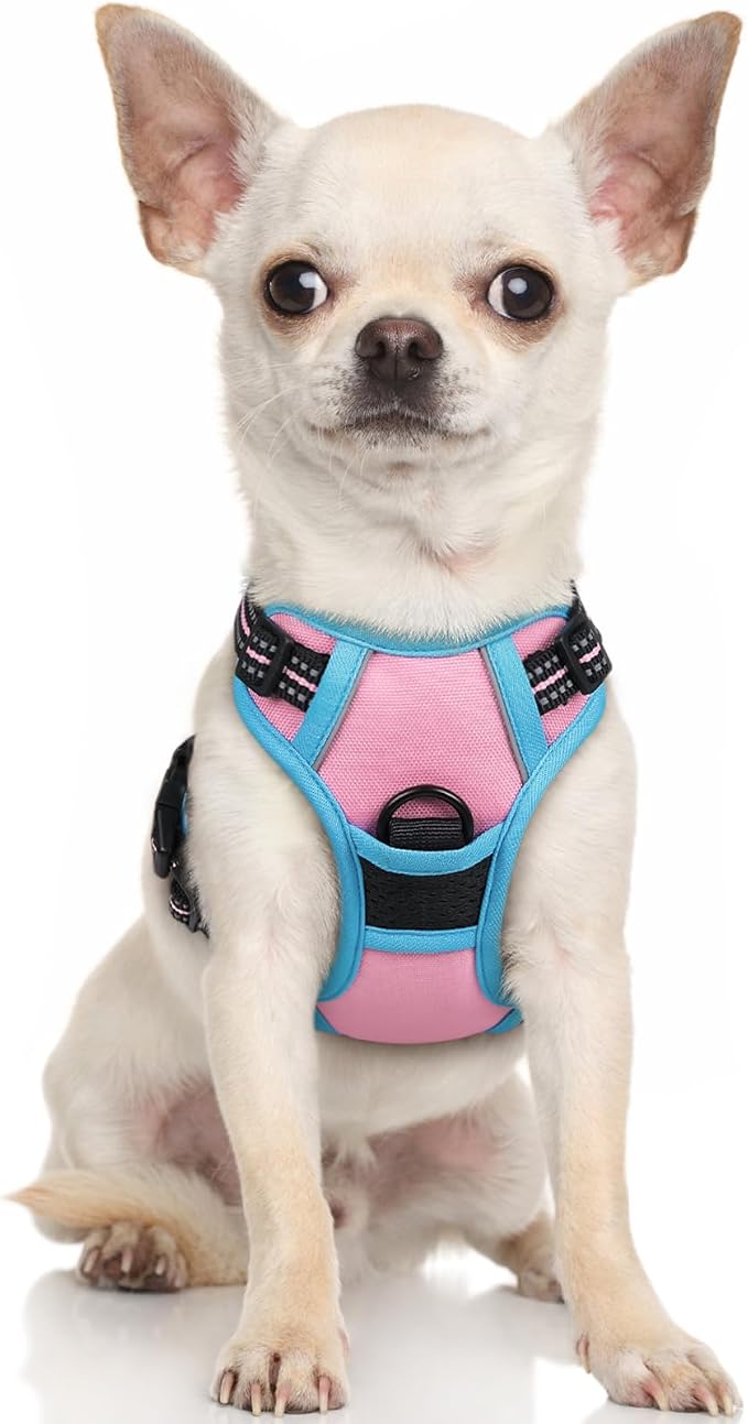 rabbitgoo Dog Harness, No Pull for Small Dogs with 2 Leash Clips, Pet Vest | No Choke with Handle, Adjustable Soft Padded, Reflective, Easy Control for Walking, Pink & Blue, X-Small by rabbitgoo