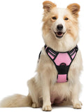 rabbitgoo Dog Harness, No Pull Medium Sized with 2 Leash Clips, Pet Vest | No Choke with Handle, Adjustable Soft Padded, Reflective, Easy Control for Walking, Pink, Medium by rabbitgoo