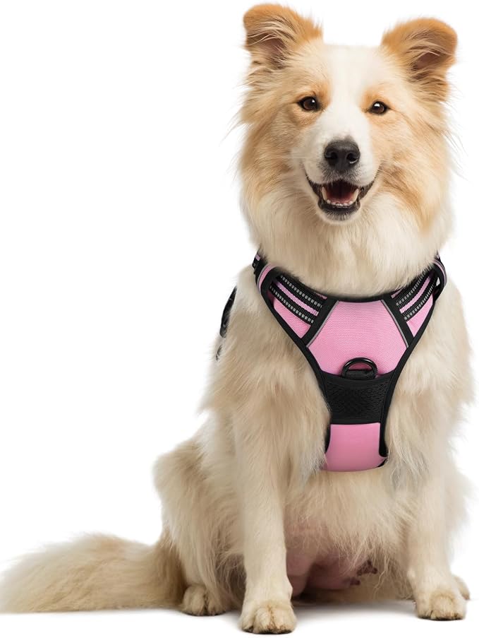 rabbitgoo Dog Harness, No Pull Medium Sized with 2 Leash Clips, Pet Vest | No Choke with Handle, Adjustable Soft Padded, Reflective, Easy Control for Walking, Pink, Medium by rabbitgoo