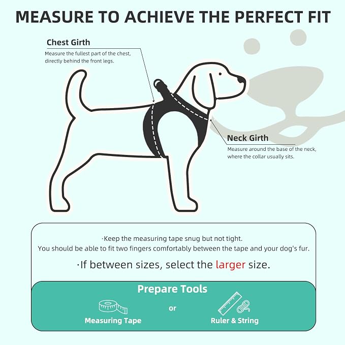 PUPTECK Dog Harness, Collar and Leash Set No Pull for Small Medium Sized | Plaid Puppy Step-in Escape Proof Reflective No Choke Pet Cat Adjustable Walking Vest - Image 2