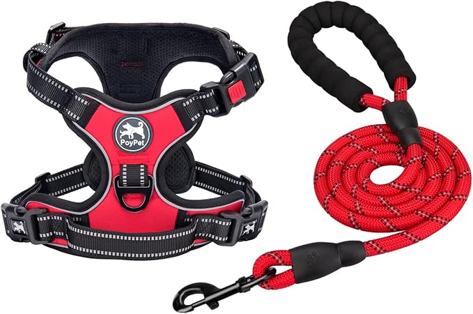 PoyPet Dog Harness and Leash Set, No Pull Vest with Front Clip and Handle | Escape Proof, Reflective, 3 Buckles, 2 D-rings, Adjustable, Soft Padded, 5 Feet Leash, for Walking Training, Red, S by PoyPet