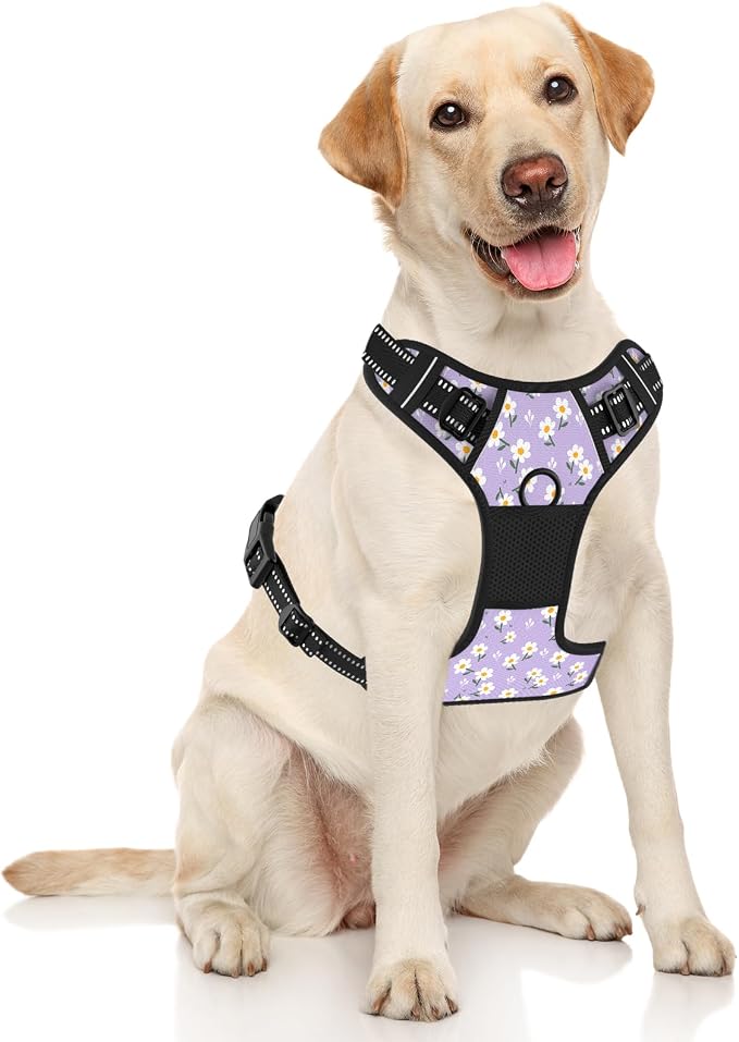 Rnivvi No Pull Dog Harness, Cute Flower Reflective X-Large Sized Puppy Harness, Adjustable Soft Padded Vest for Large Dogs, Heavy Duty Pet Vest with Easy Control Handle for Walking, Purple White - Image 2