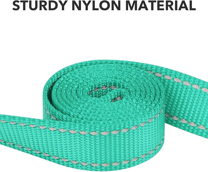 Taglory Reflective Dog Leash for Small Dogs, 3/4in x 5ft, Turquoise | Ideal for Night Walking, Strong for Sudden Pulls, Lightweight & Gentle on the Neck, Soft Padded Handle - Image 3