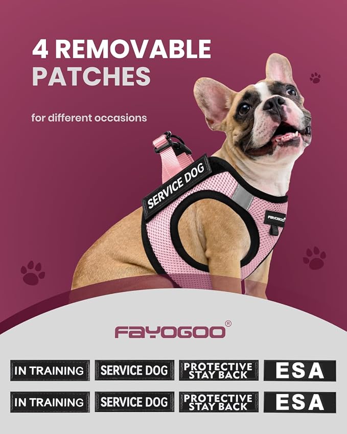 FAYOGOO Service Dog Vest Set for Small Dogs, Mesh Harness and Leash | Lightweight step-in vest with leash and removable identification patches; measure neck and chest before choosing a size - Image 3