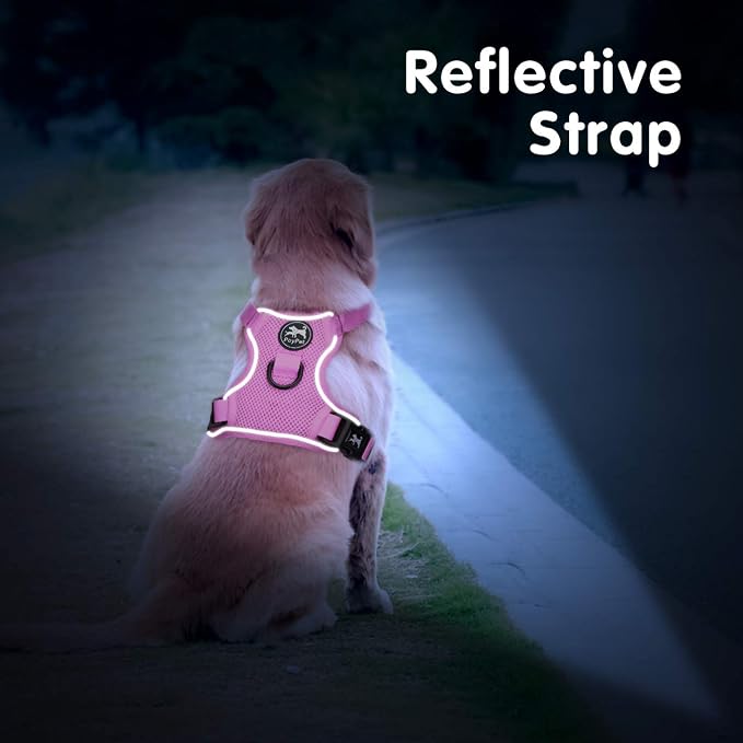 PoyPet Mesh Dog Harness, Reflective Breathable Puppy Vest for Medium Dogs | Lightweight, Soft Air Mesh, Back D-ring, Adjustable, Comfortable, Double Padded, No Choke, for Daily Walking, M, Light Pink - Image 4
