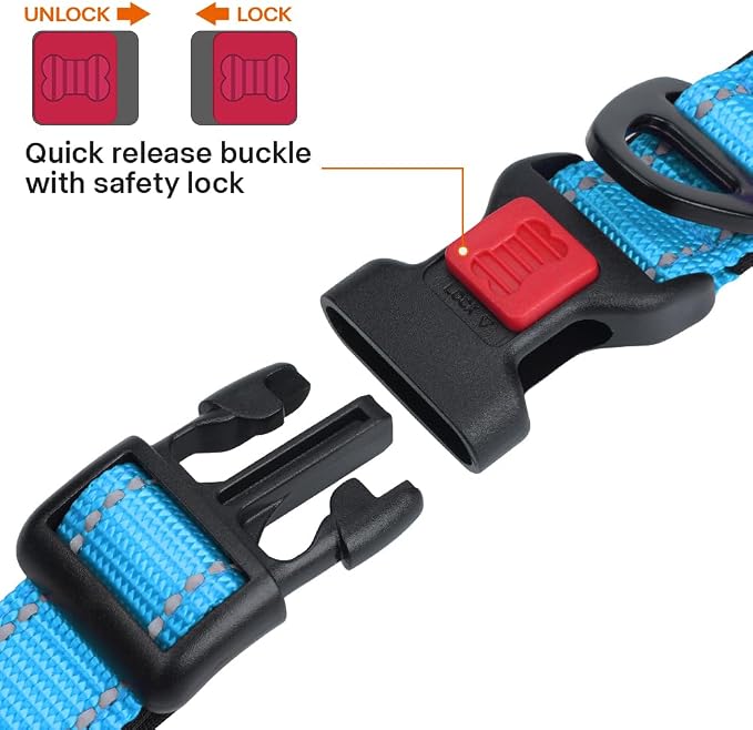 Taglory Reflective Small Dog Collar, Comfort for Safe Night Walks, SkyBlue | Night-Walk Visibility, Soft Neck Cushioning, Adjustable 10-16 in, Locking Buckle, D-Ring for Leash and ID Tags - Image 3
