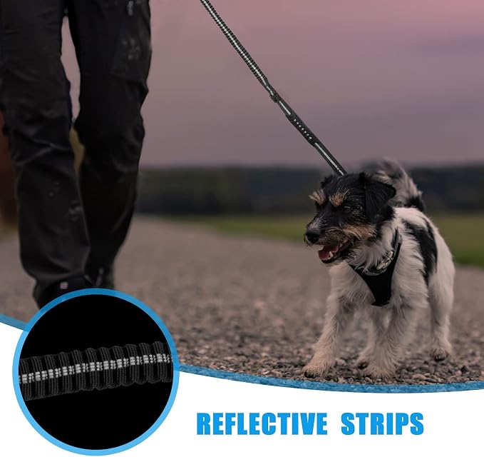Raipult Tactical Shock Absorbing Bungee Dog Leash Heavy Duty, 4-6ft, Black | for Large Dogs That Pull, Quick-Release Frog Clip, Dual Handles for Close Control, Car Seat Belt Clip, Reflective at Night - Image 6