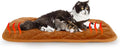 NAMOTEK Self-Warming Cat Bed Indoor/Outdoor Super Soft Self Heating Pet Mat Washable Thermal Pad for Cat & Dog 35x23 inch by NAMOTEK